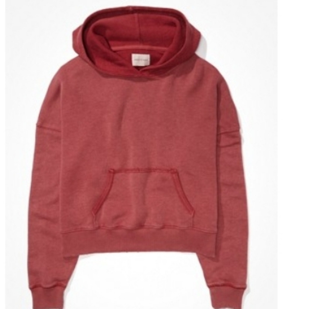 NWT American eagle hoodi3